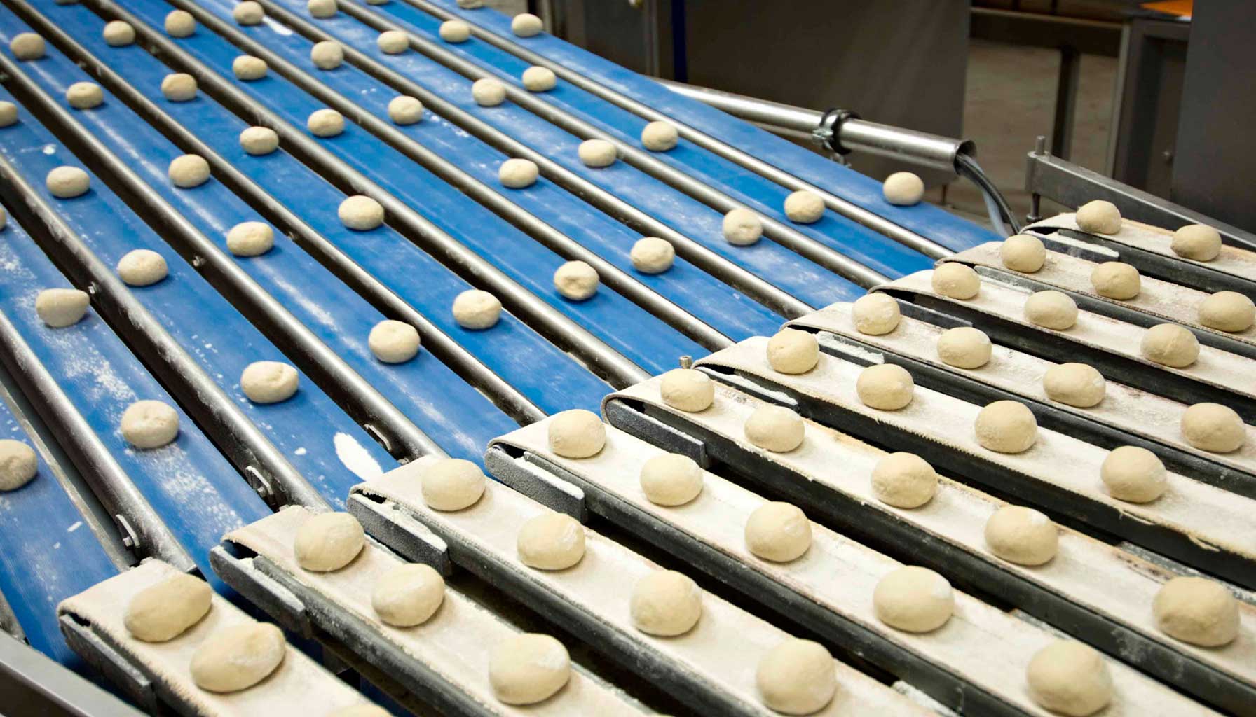 The-Perfect-Bite-Co-Commercialization-Home-Page4